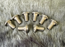 Bulong cổ vuông Inox 304