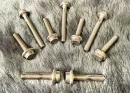 Bulong Inox M6